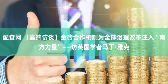 配查网 【高端访谈】金砖合作机制为全球治理改革注入“南方力量”——访英国学者马丁·雅克