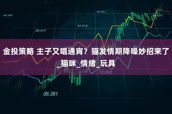 金投策略 主子又唱通宵?猫发情期降噪妙招来了_猫咪_情绪_玩具