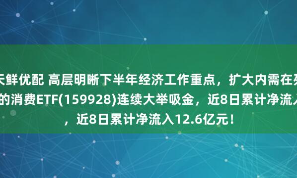 天鲜优配 高层明晰下半年经济工作重点，扩大内需在列！规模领先的消费ETF(159928)连续大举吸金，近8日累计净流入12.6亿元！