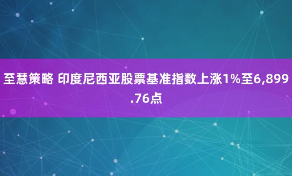至慧策略 印度尼西亚股票基准指数上涨1%至6,899.76点